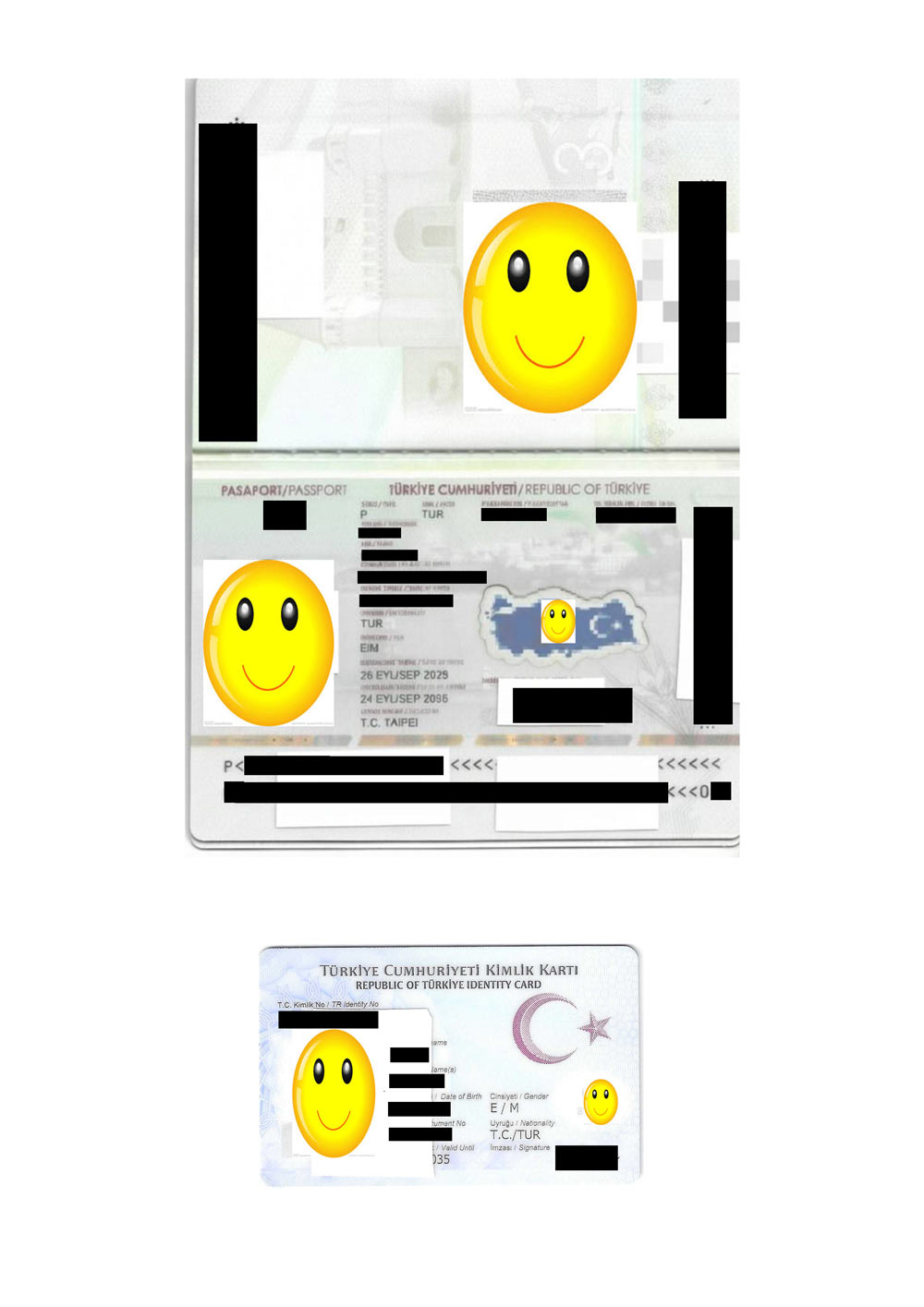 2-1p_Turkey_Passport_ID Card1